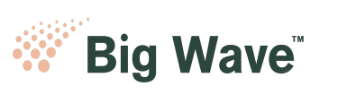 Big Wave大浪公司简介