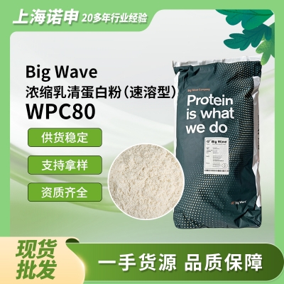 荷兰big wave大浪乳业 浓缩乳清蛋白（速溶型）WPC80
